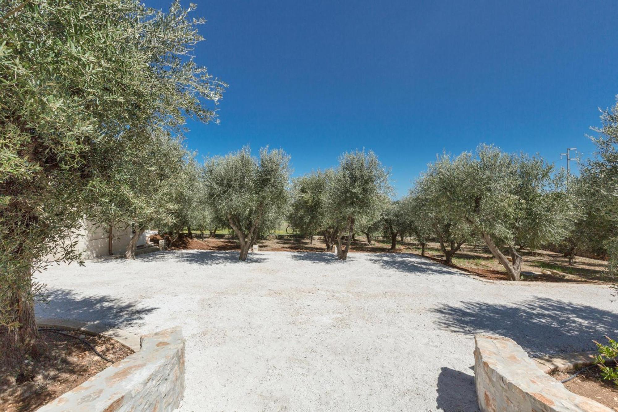 Trulli Ulivo Di Puglia By Barbarhouse Villa Selva Di Fasano Eksteriør bilde